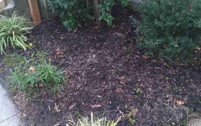 Photo of Katie G.'s yard after getting landscaping in Hobbsville, NC