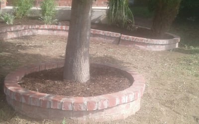 Photo of Joshua J.'s yard after getting landscaping in Bandera, TX
