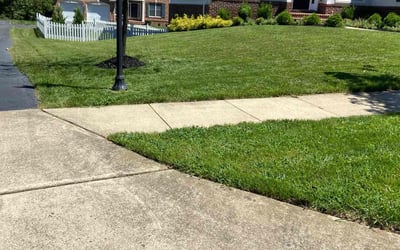 Photo of Michael B.'s yard after getting landscaping in Boyce, VA