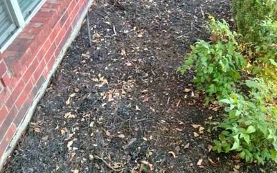 Photo of Kenneth L.'s yard after getting landscaping in Merit, TX