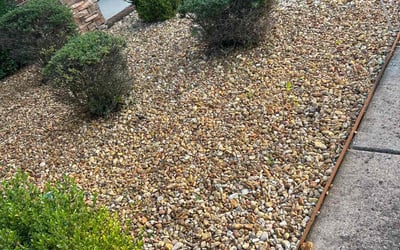 Photo of Marcia C.'s yard after getting landscaping in Madison, AL