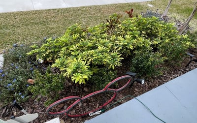 Photo of Megan D.'s yard after getting landscaping in Highland City, FL