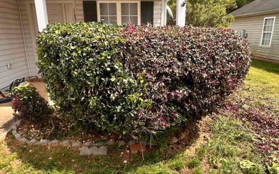 Photo of Simone S.'s yard after getting landscaping in Mount Zion, GA