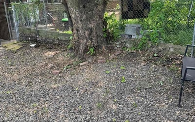 Photo of Sharon F.'s yard after getting landscaping in Philadelphia, PA