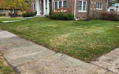 Photo of Thomas B.'s yard after getting landscaping in Big Bend, WI