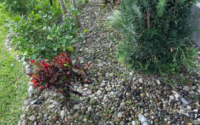 Photo of Michael W.'s yard after getting landscaping in Nalcrest, FL