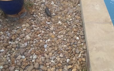 Photo of Jessica L.'s yard after getting landscaping in Orchard, TX