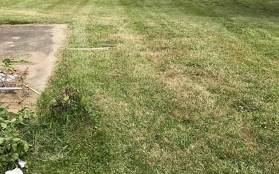Photo of Joaquin C.'s yard after getting landscaping in Canfield, OH