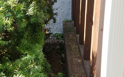 Photo of Joy R.'s yard after getting landscaping in Brice, OH