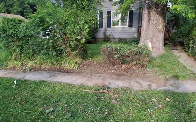 Photo of Josh F.'s yard after getting landscaping in Des Moines, IA
