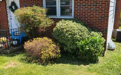 Photo of Karen H.'s yard after getting landscaping in Rosedale, MD