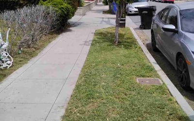 Photo of Megan D.'s yard after getting landscaping in Pala, CA