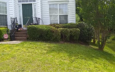 Photo of Elizabeth G.'s yard after getting tree care in Mooresville, NC