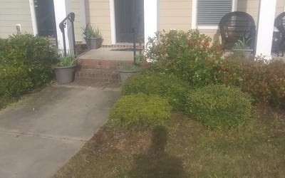 Photo of Monica C.'s yard after getting landscaping in Grimstead, VA