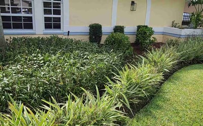 Photo of Jeffrey S.'s yard after getting landscaping in Sanibel, FL