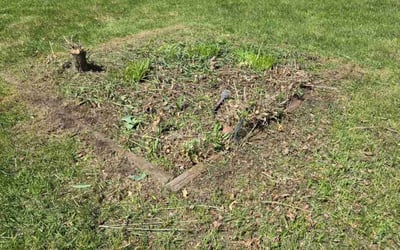 Photo of Heidi S.'s yard after getting landscaping in Cambridge, MN