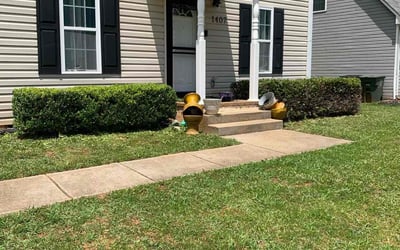 Photo of Georgina W.'s yard after getting landscaping in Oak Ridge, NC