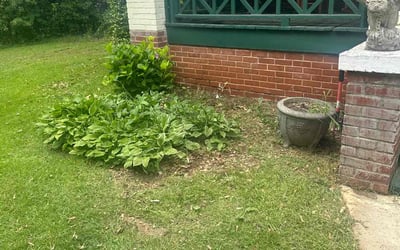 Photo of Kelly G.'s yard after getting landscaping in Inman, SC