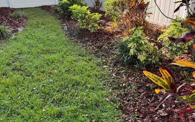 Photo of AJ E.'s yard after getting tree care in Thonotosassa, FL