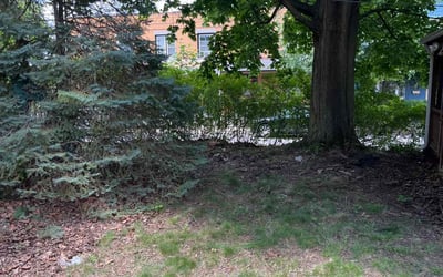Photo of Jason C.'s yard after getting landscaping in Pittsburgh, PA