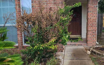 Photo of Robert D.'s yard after getting landscaping in Prairie View, TX