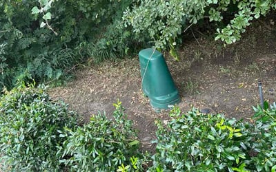 Photo of George H.'s yard after getting landscaping in League City, TX