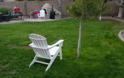 Photo of Jessica G.'s yard after getting landscaping in Chandler Heights, AZ