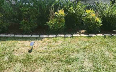 Photo of Aaron L.'s yard after getting landscaping in Davidson, TN