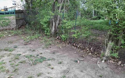 Photo of Courtney B.'s yard after getting landscaping in Junction City, OH