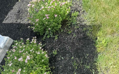 Photo of Susan P.'s yard after getting landscaping in Shawnee, OH