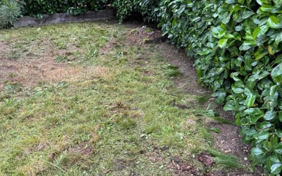 Photo of Danielle H.'s yard after getting landscaping in Gig Harbor, WA