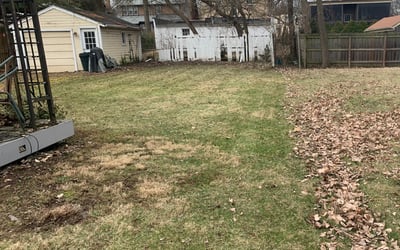 Photo of Stephanie B.'s yard after getting landscaping in Harveysburg, OH