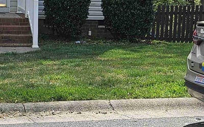 Photo of Laura E.'s yard after getting landscaping in Ruther Glen, VA
