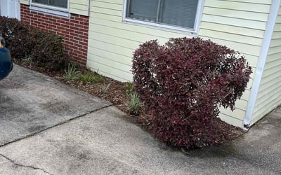 Photo of Keisha S.'s yard after getting landscaping in Tallahassee, FL