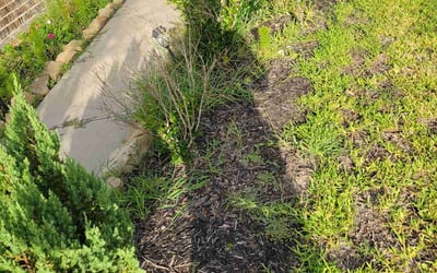 Photo of James H.'s yard after getting landscaping in New Ulm, TX