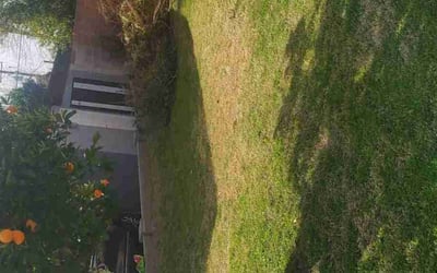 Photo of Patrick K.'s yard after getting landscaping in Wickenburg, AZ