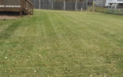 Photo of Pache L.'s yard after getting landscaping in Jordan, MN