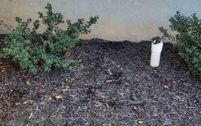 Photo of Jason G.'s yard after getting landscaping in Hermitage, TN