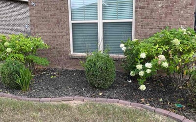Photo of Noah L.'s yard after getting landscaping in Madison, AL