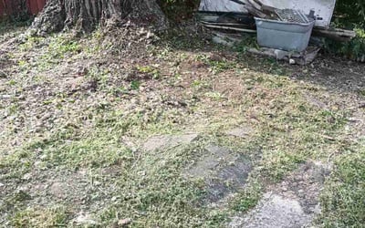 Photo of Laura K.'s yard after getting lawn care in Oxford, OH