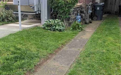 Photo of Robert D.'s yard after getting landscaping in Wilmington, DE