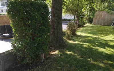 Photo of Jamie L.'s yard after getting landscaping in Lapeer, MI