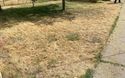 Photo of Veronica C.'s yard after getting landscaping in New Prague, MN