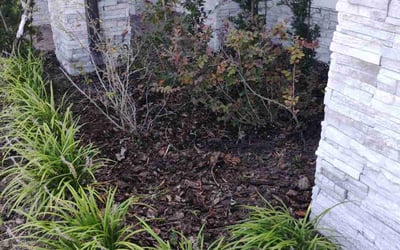 Photo of Chris K.'s yard after getting landscaping in Winter Park, FL