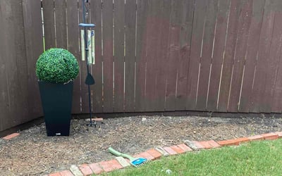 Photo of Sara M.'s yard after getting landscaping in Dallas, TX