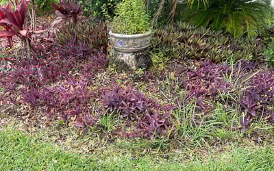 Photo of Sophia M.'s yard after getting landscaping in Geneva, FL