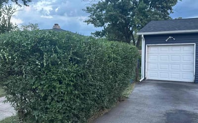 Photo of Anthony W.'s yard after getting landscaping in Gary, IN
