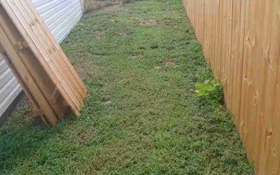 Photo of Robert S.'s yard after getting landscaping in Point Harbor, NC