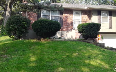 Photo of Shumeeke W.'s yard after getting tree care in Independence, MO