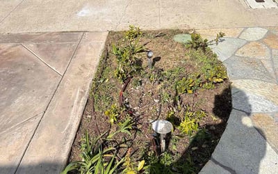 Photo of Mark M.'s yard after getting landscaping in Jamul, CA